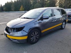 2014 Honda Odyssey EX en venta en Arlington, WA