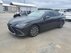 Salvage cars for sale at Riverview, FL auction: 2023 Lexus ES 350 Base