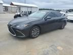 2023 Lexus ES 350 Base