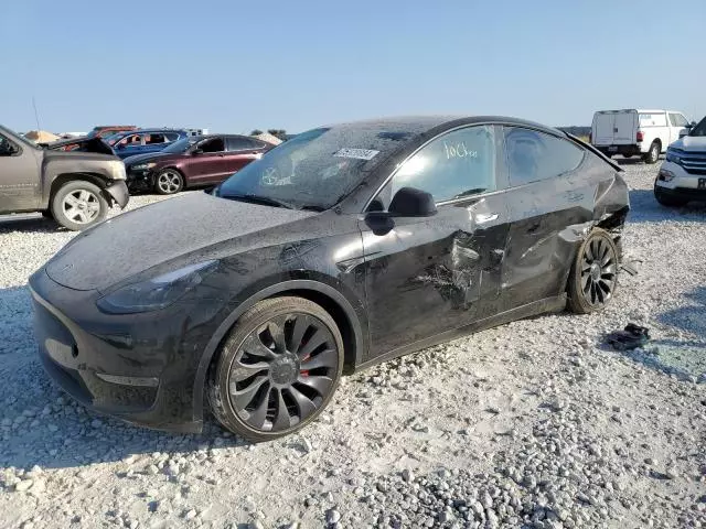 2025 Tesla Model Y