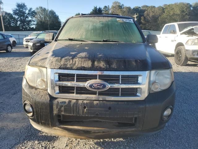 2011 Ford Escape Limited