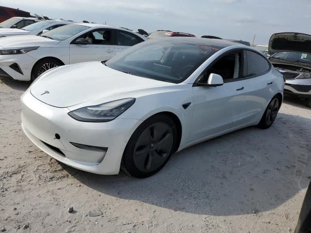 2020 Tesla Model 3