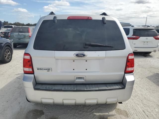 2010 Ford Escape XLT