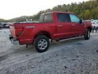 2024 Ford F150 XLT