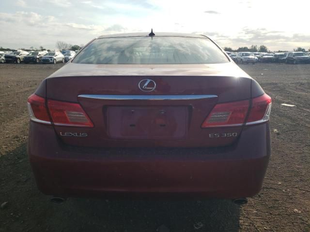 2010 Lexus ES 350