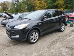 Salvage cars for sale at Candia, NH auction: 2013 Ford Escape SEL