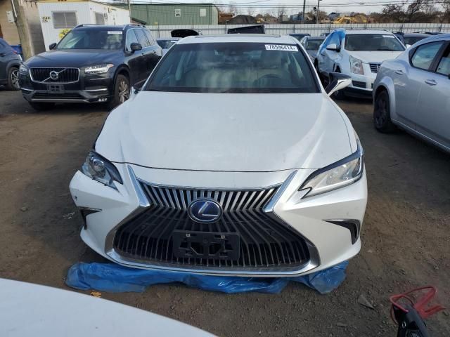 2021 Lexus ES 300H Luxury