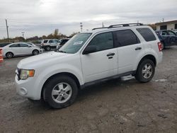 2011 Ford Escape XLT en venta en Indianapolis, IN