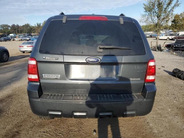 2009 Ford Escape XLT