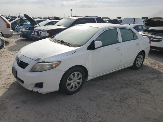 2009 Toyota Corolla Base