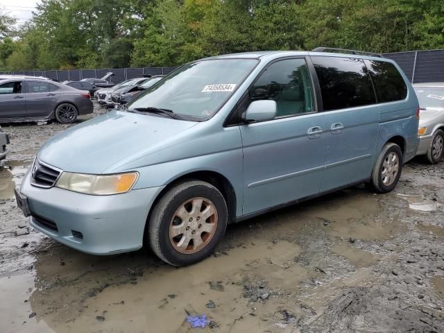 2004 Honda Odyssey EXL