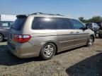 2005 Honda Odyssey EXL