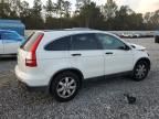 2007 Honda CR-V EX