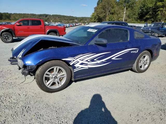 2013 Ford Mustang