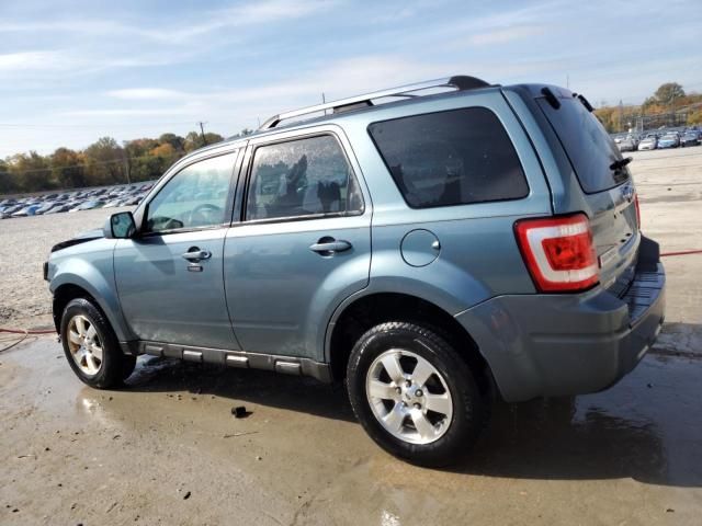 2011 Ford Escape Limited