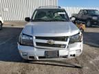 2009 Chevrolet Trailblazer LT