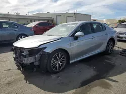 Toyota Camry xle salvage cars for sale: 2023 Toyota Camry XLE