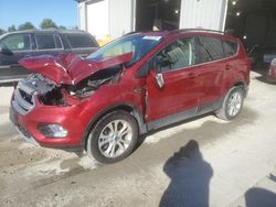 Salvage cars for sale at Columbia, MO auction: 2019 Ford Escape SEL