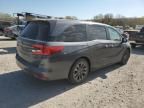 2023 Honda Odyssey EXL