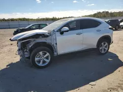 2024 Lexus NX 350 Luxury en venta en Fredericksburg, VA