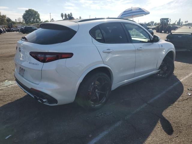 2019 Alfa Romeo Stelvio Quadrifoglio