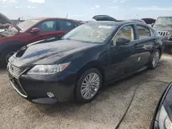 2013 Lexus ES 350 en venta en Arcadia, FL