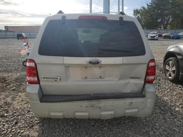 2008 Ford Escape XLT