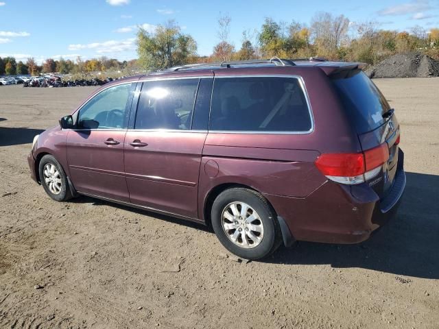 2008 Honda Odyssey EXL