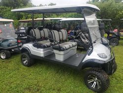 Salvage trucks for sale at Riverview, FL auction: 2021 Aspt Golf Cart