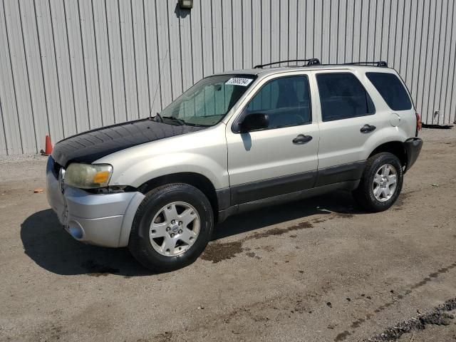 2005 Ford Escape XLT