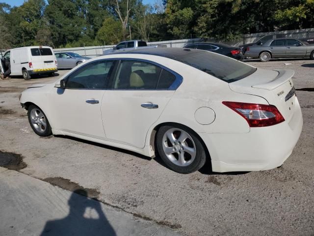 2010 Nissan Maxima S