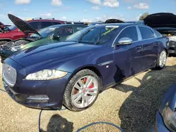 2013 Jaguar XJL Portfolio en venta en Arcadia, FL