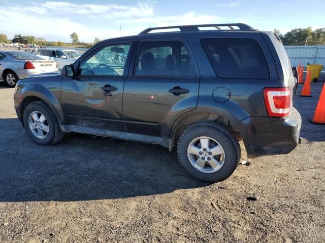 2009 Ford Escape XLT