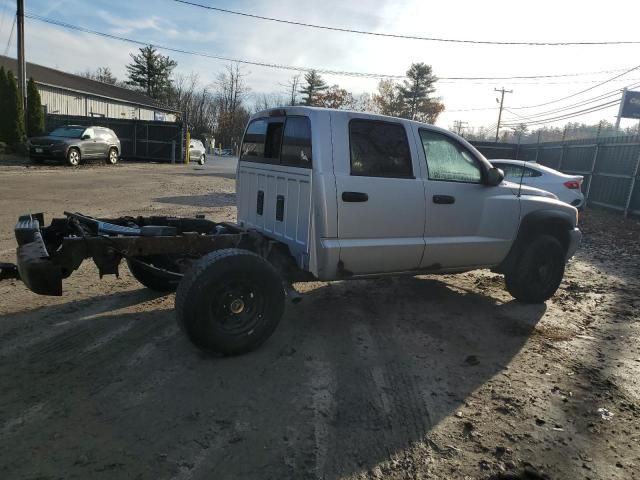 2005 Dodge Dakota Quattro