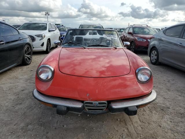 1973 Alfa Romeo Spider Veloce