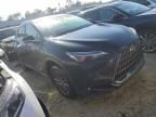 2023 Lexus NX 350