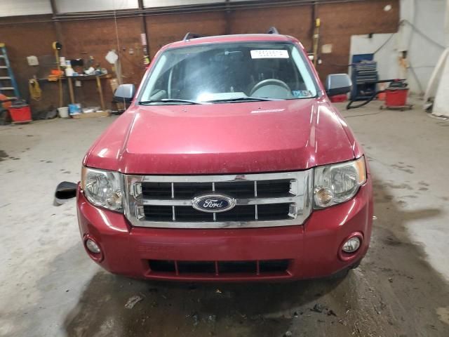 2008 Ford Escape XLT