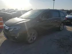 Salvage cars for sale at Indianapolis, IN auction: 2019 Honda Odyssey EXL