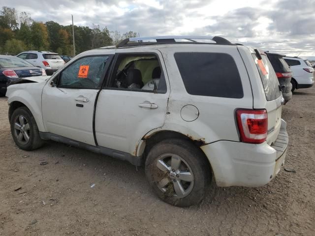 2009 Ford Escape Limited