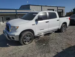 Salvage cars for sale at Earlington, KY auction: 2010 Toyota Tundra Crewmax SR5