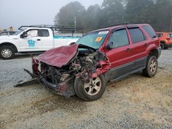 Salvage cars for sale at Concord, NC auction: 2006 Ford Escape XLT