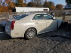 2011 Cadillac CTS Performance Collection