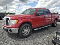 Salvage cars for sale at Riverview, FL auction: 2010 Ford F150 Supercrew