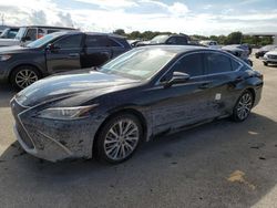 Salvage cars for sale at Riverview, FL auction: 2019 Lexus ES 350