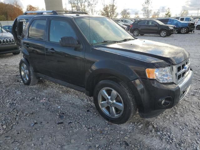 2011 Ford Escape Limited