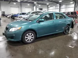 Salvage cars for sale at Ham Lake, MN auction: 2010 Toyota Corolla Base