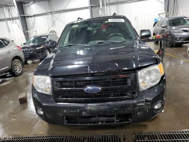 2008 Ford Escape Limited