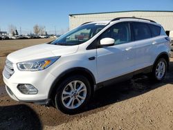 Ford salvage cars for sale: 2018 Ford Escape SEL