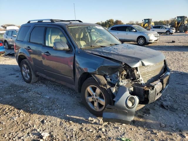 2011 Ford Escape Limited