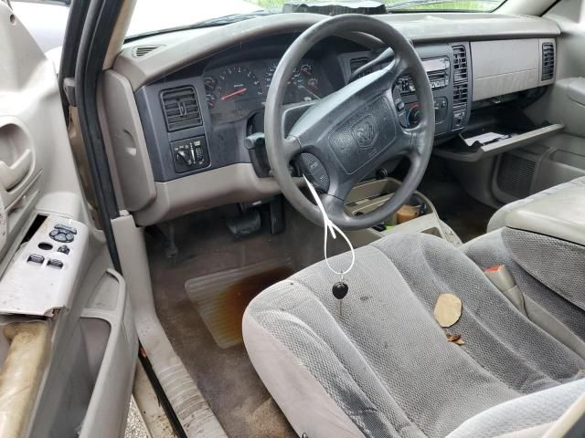 2002 Dodge Dakota SLT